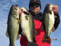 3 bass 3 bass