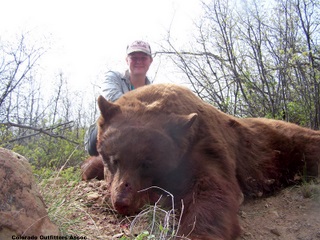Monteyelderbear