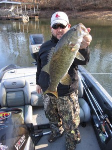 bass 1 bass 1