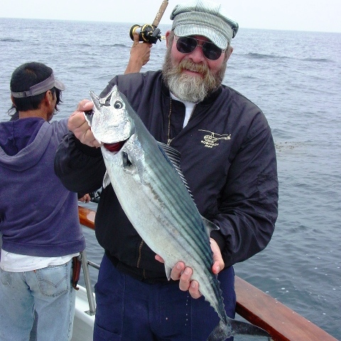 bonito