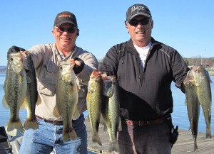 bunch bass bunch bass