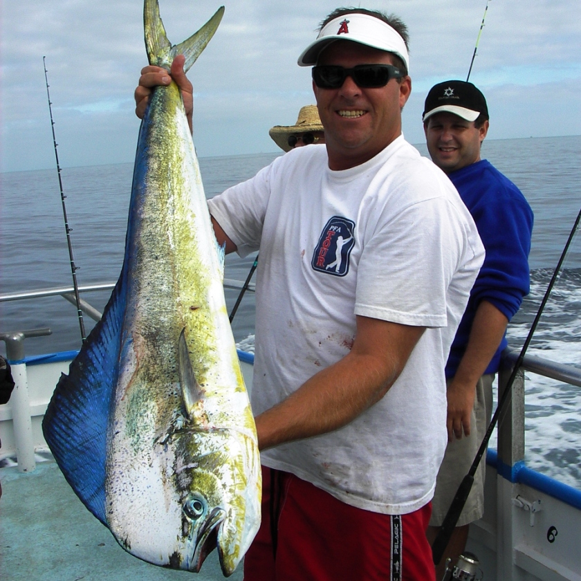 dorado3