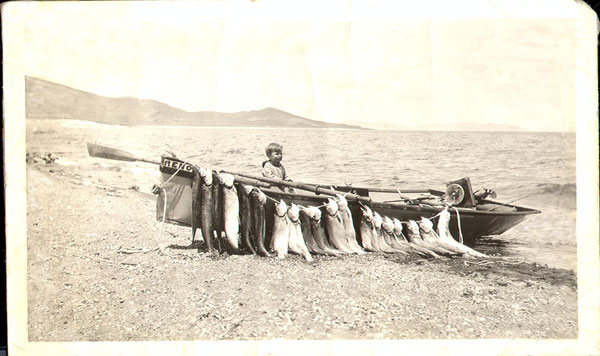 fish1923geo