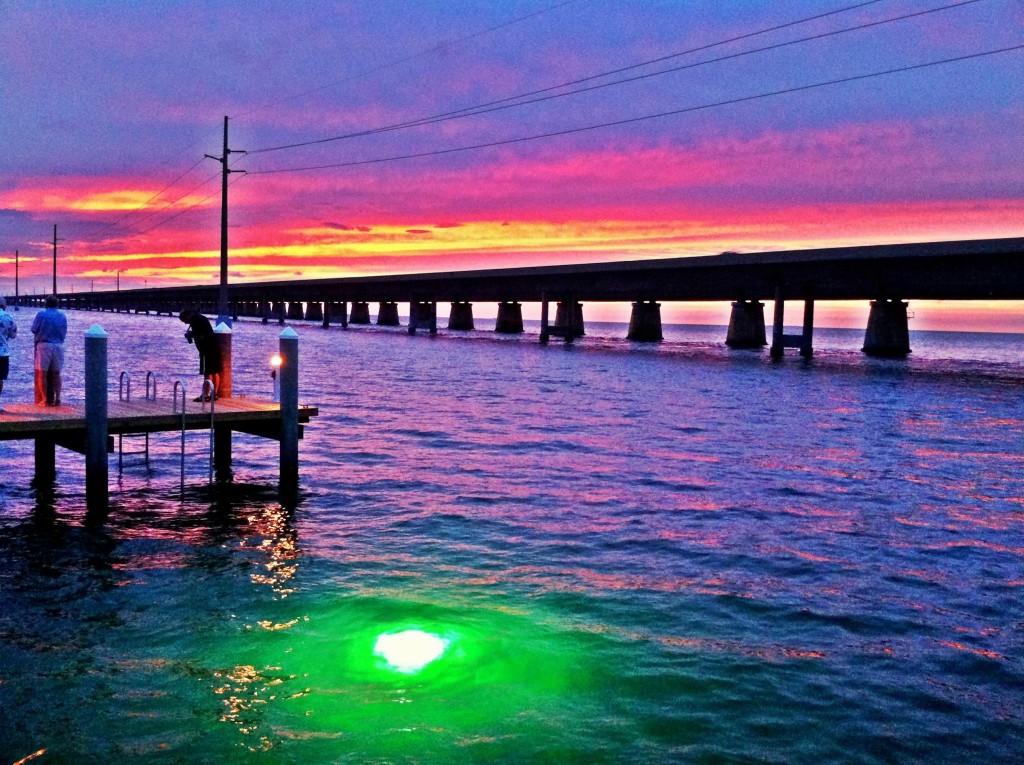 lights