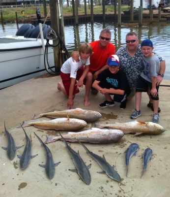 normal_9-2-12 sharks and bulls