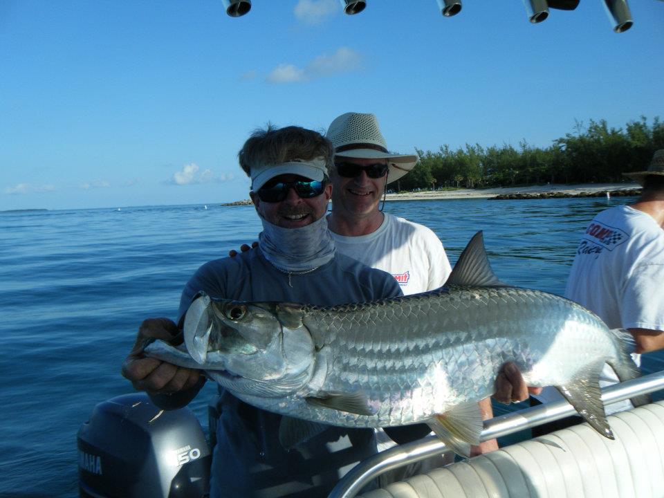 tarpon