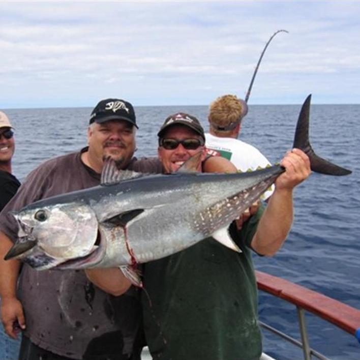 ultrabluefin