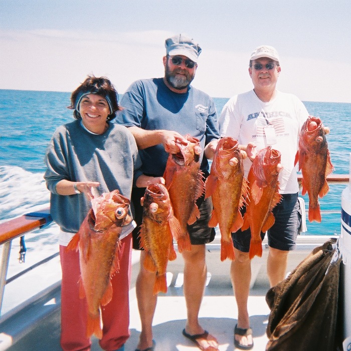 ultrarockfish