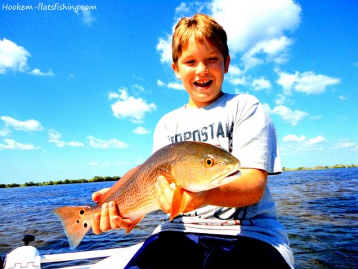 553576_425598504130746_140980162592583_1411111_1149655783_n-520x390
