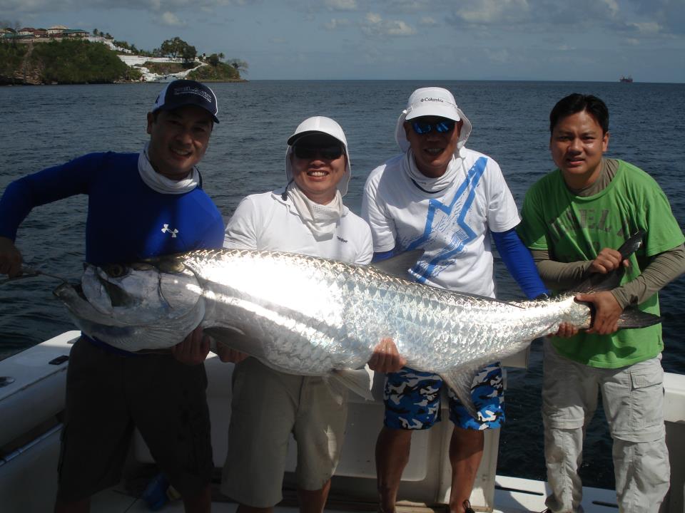 big tarpon