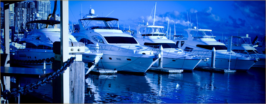 dockage dockage