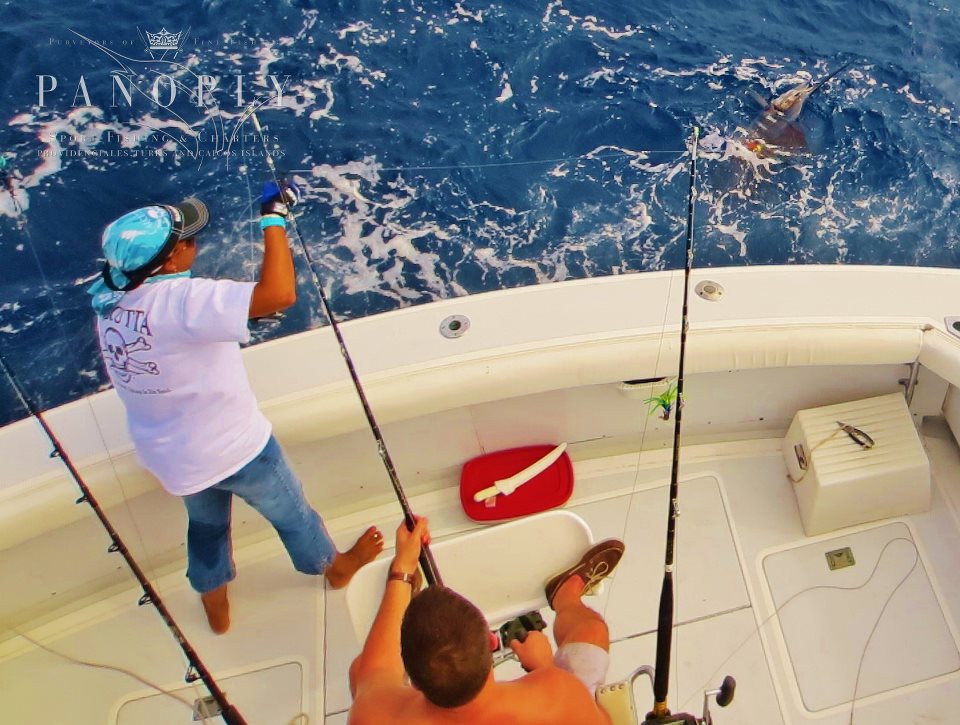 billfish
