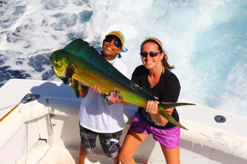 mahi