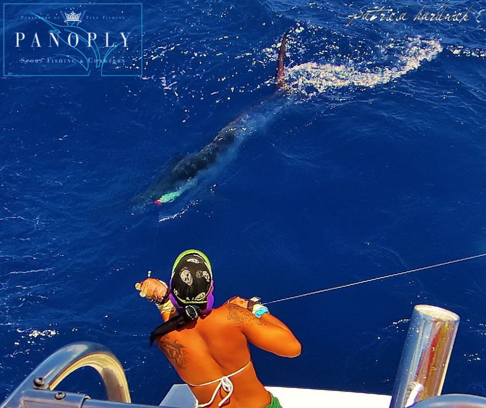 marlin