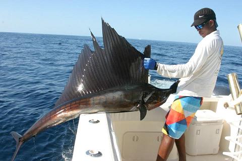 sail