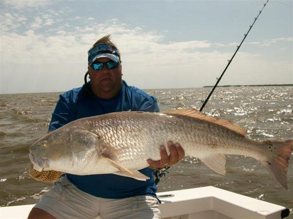 bull-redfish-9