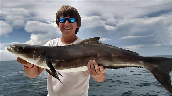 cobia-fishing