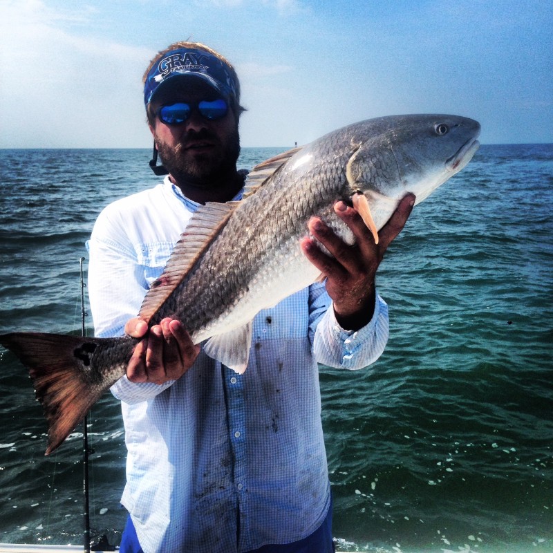redfish4