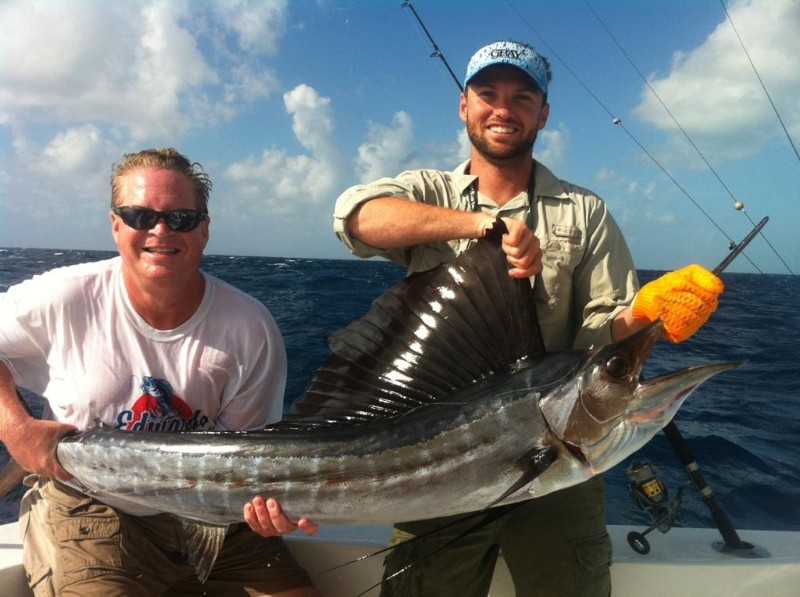 Sailfish