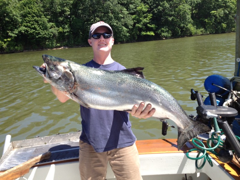 king-salmon